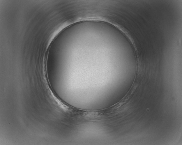 X0000076341006200610201726