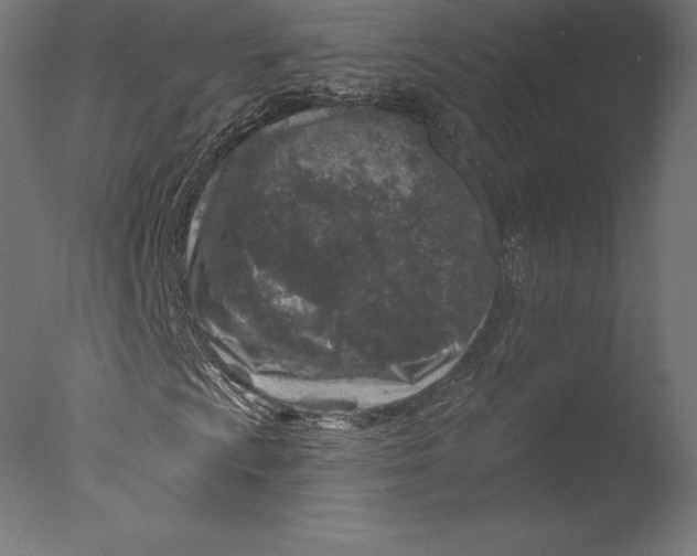 X0000076341009200610201725