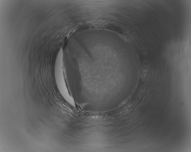 X0000076341010200610201725
