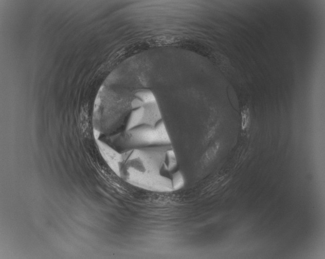 X0000076341011200610201725