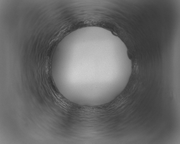 X0000076341012200610201725