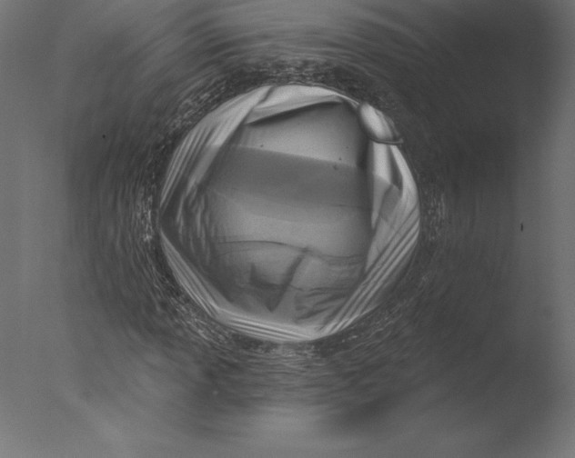 X0000076341013200610201725