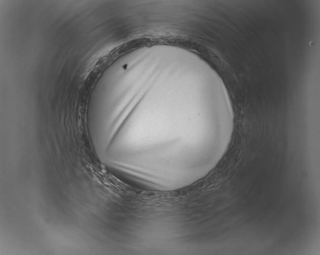 X0000076341016200610201725