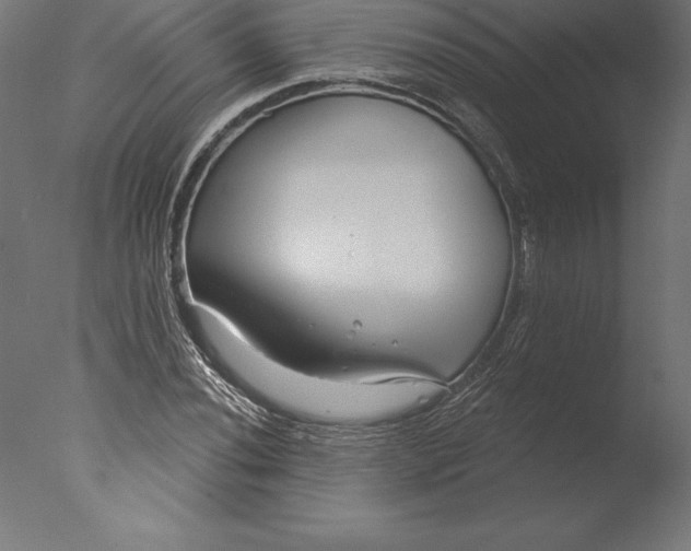 X0000076341020200610201725
