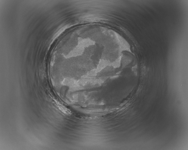 X0000076341023200610201725