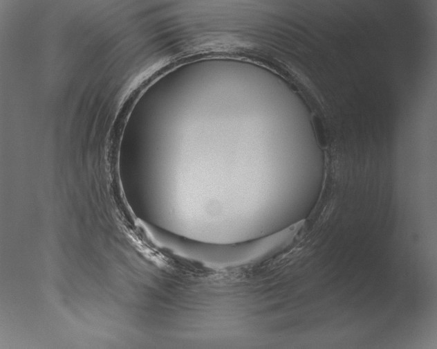 X0000076341026200610201725