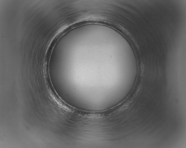X0000076341029200610201725