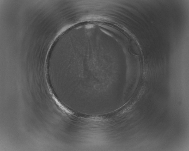 X0000076341037200610201725