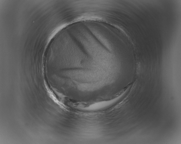 X0000076341038200610201725