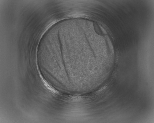 X0000076341039200610201725