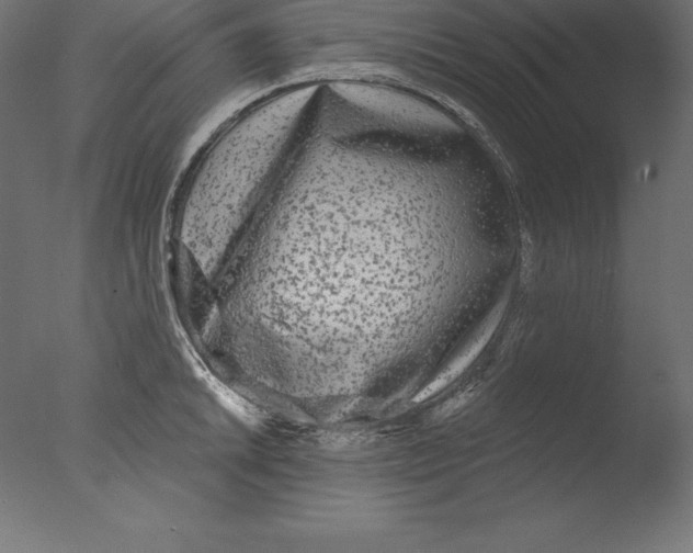 X0000076341046200610201726