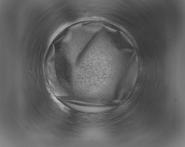 X0000076341054200610201726