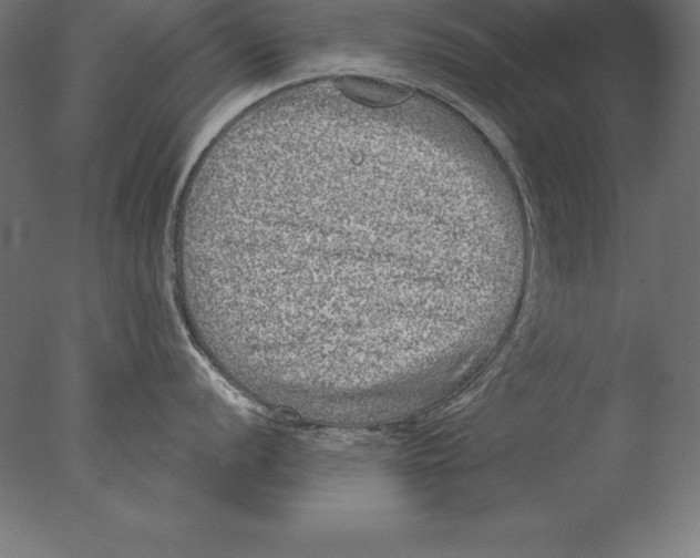 X0000076341056200610201726