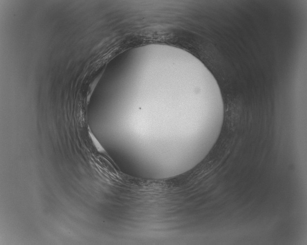 X0000076341058200610201725