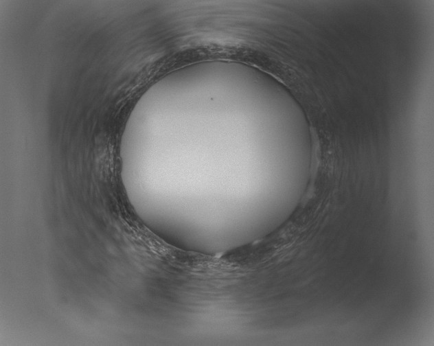 X0000076341061200610201725