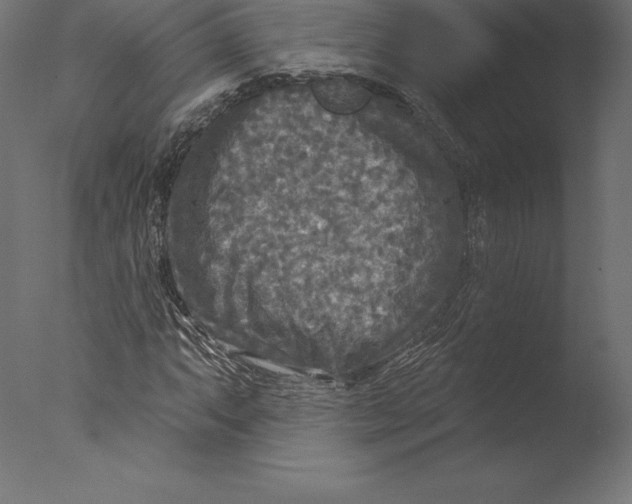 X0000076341063200610201725