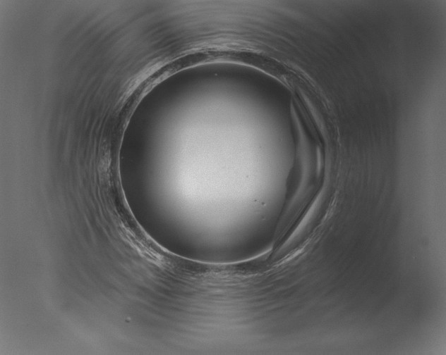 X0000076341065200610201725