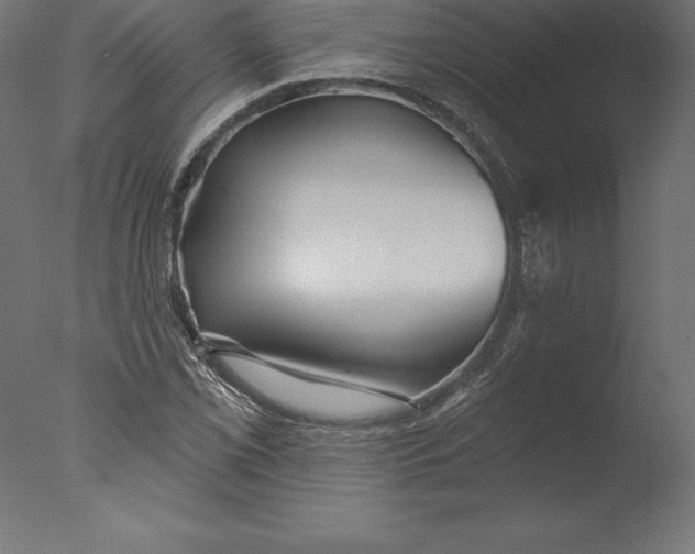 X0000076341069200610201725