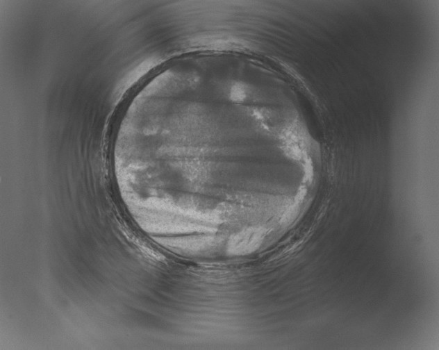 X0000076341071200610201725