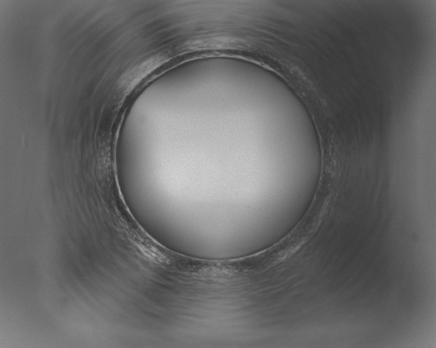 X0000076341073200610201725
