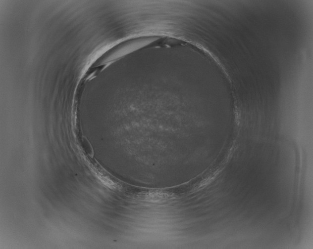 X0000076341077200610201725