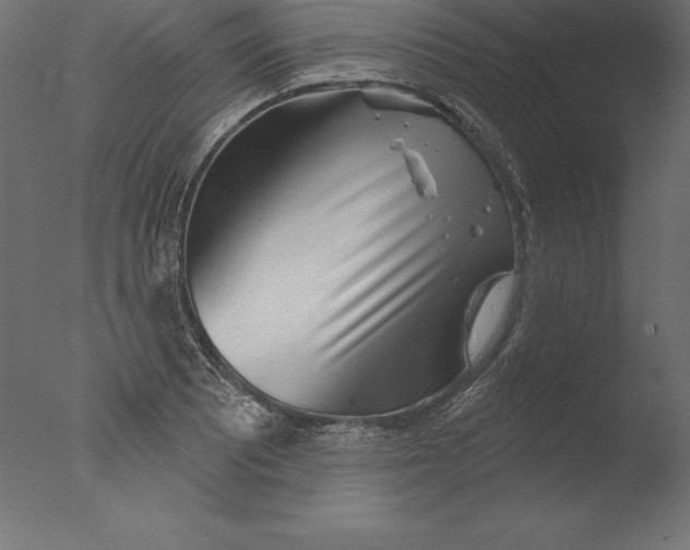 X0000076341081200610201724