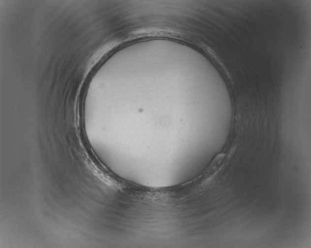 X0000076341082200610201724