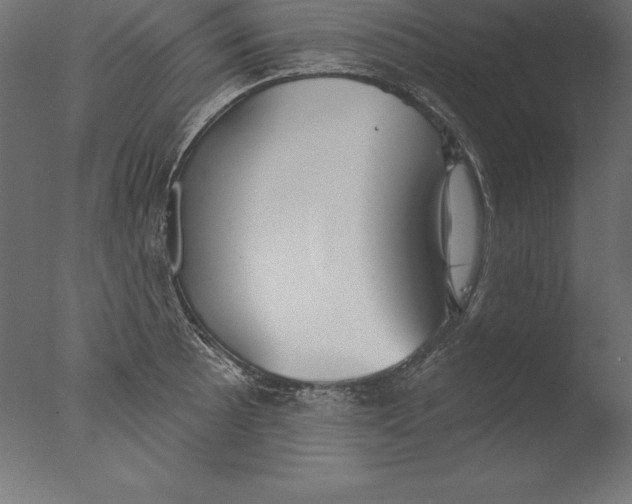 X0000076341089200610201724
