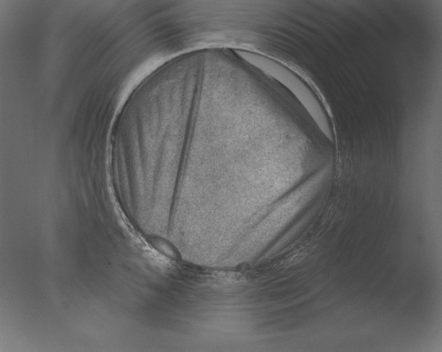 X0000076341096200610201724