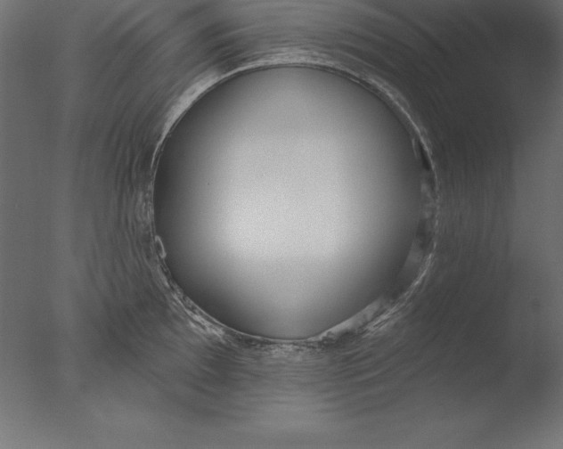 X0000076341097200610201724