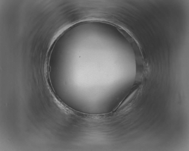 X0000076341101200610201724