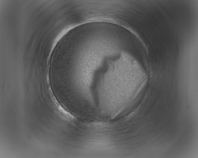 X0000076341102200610201724