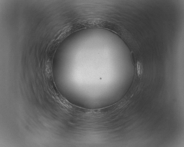 X0000076341107200610201723