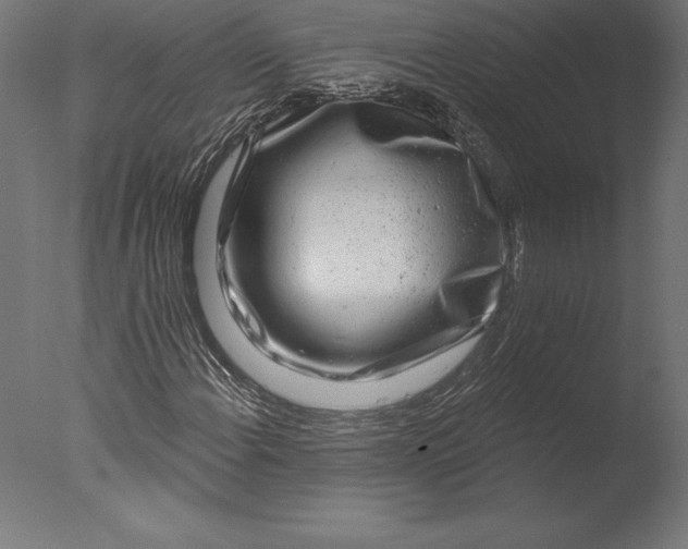 X0000076341108200610201723