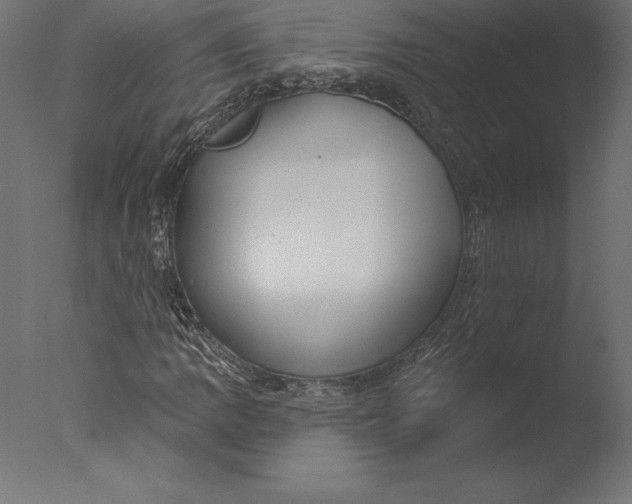 X0000076341109200610201723
