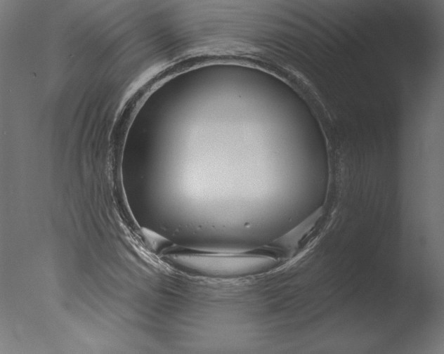 X0000076341114200610201723