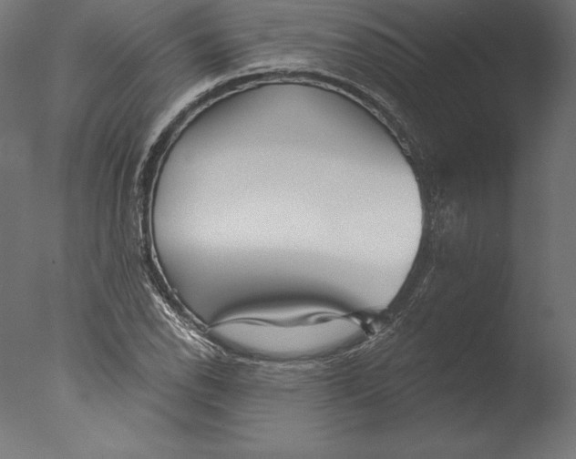 X0000076341118200610201723