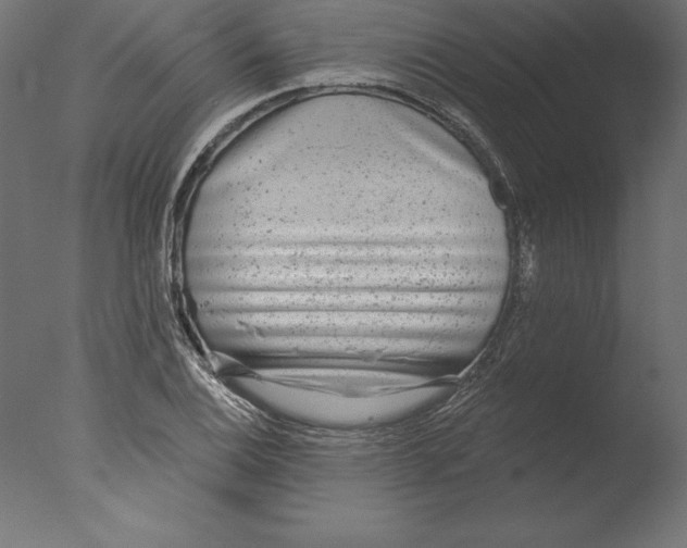 X0000076341124200610201724