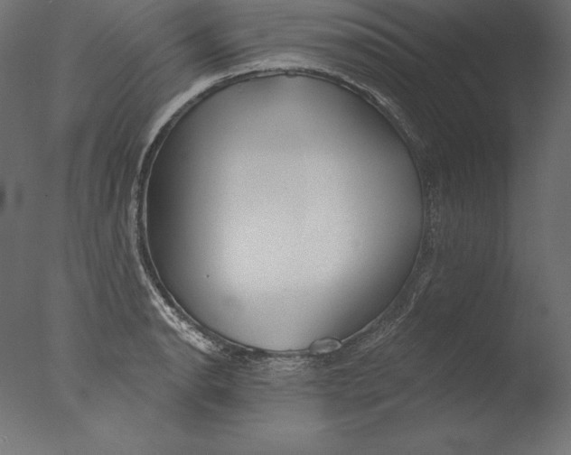 X0000076341134200610201724