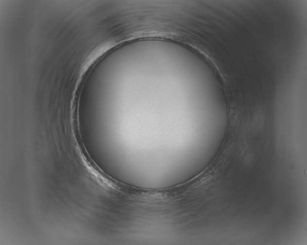 X0000076341135200610201724