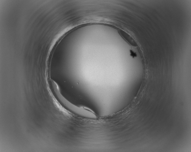 X0000076341136200610201724