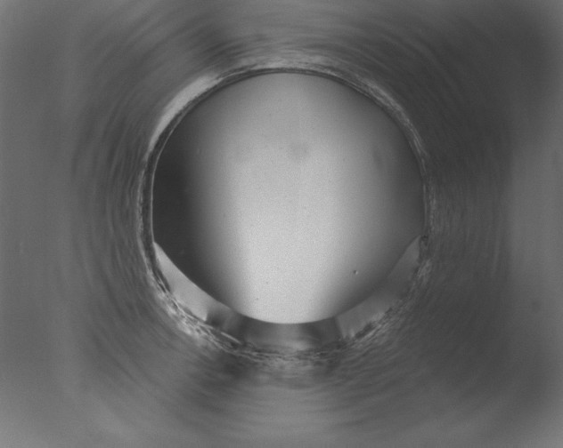 X0000076341138200610201724