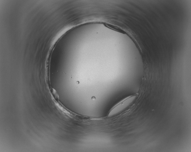 X0000076341151200610201724