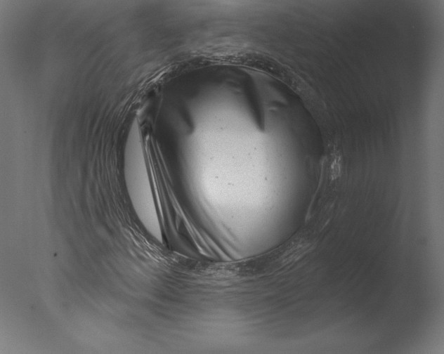 X0000076341156200610201723