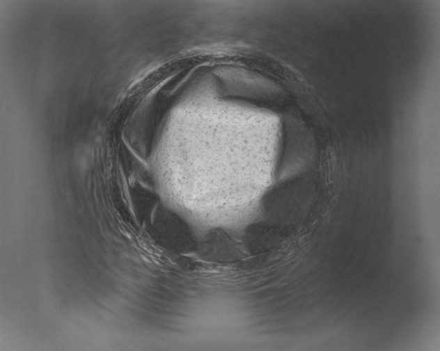 X0000076341158200610201723