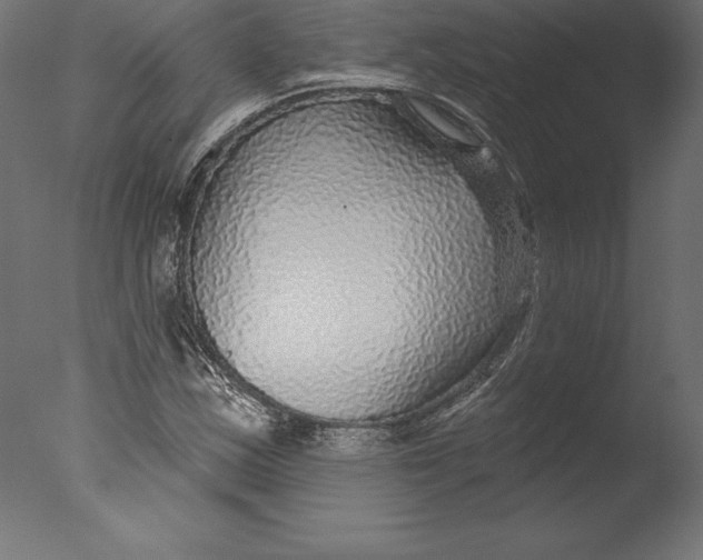 X0000076341163200610201723