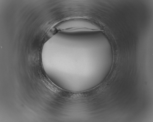 X0000076341169200610201723