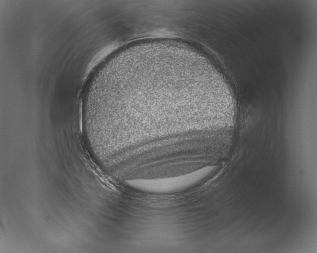 X0000076341171200610201723