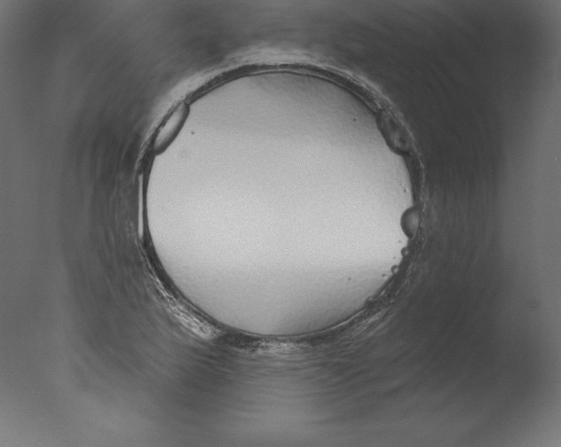 X0000076341175200610201723