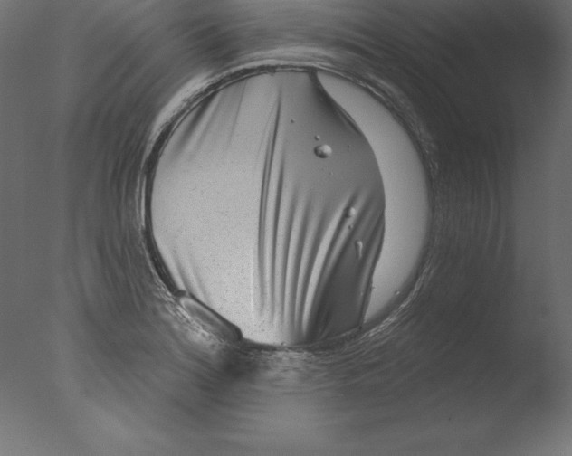 X0000076341180200610201723